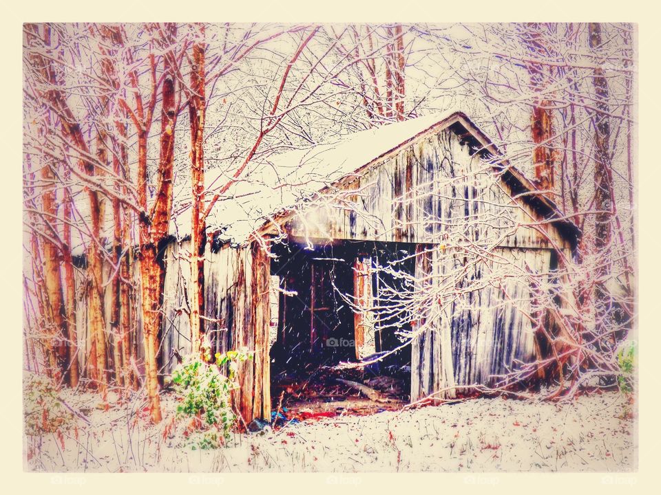 Snowy old barn in the woods