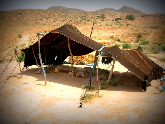 Camping  