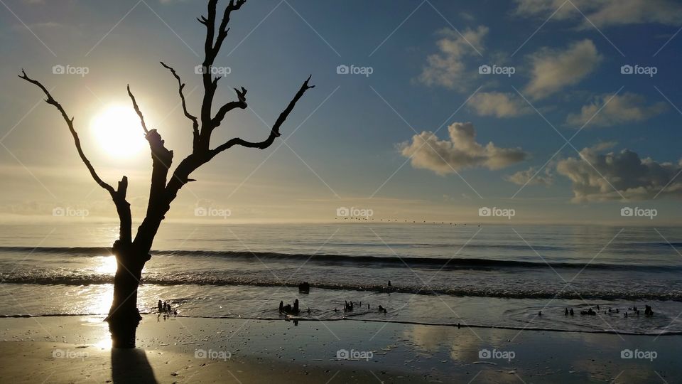 Botany bay sunrise