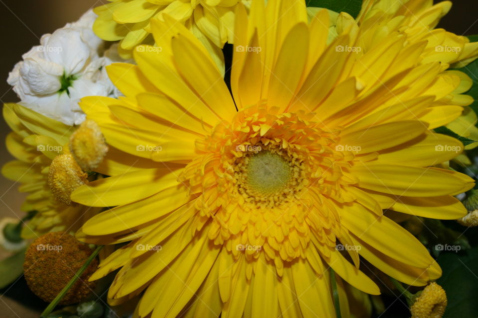 Sunshine Bouquet 