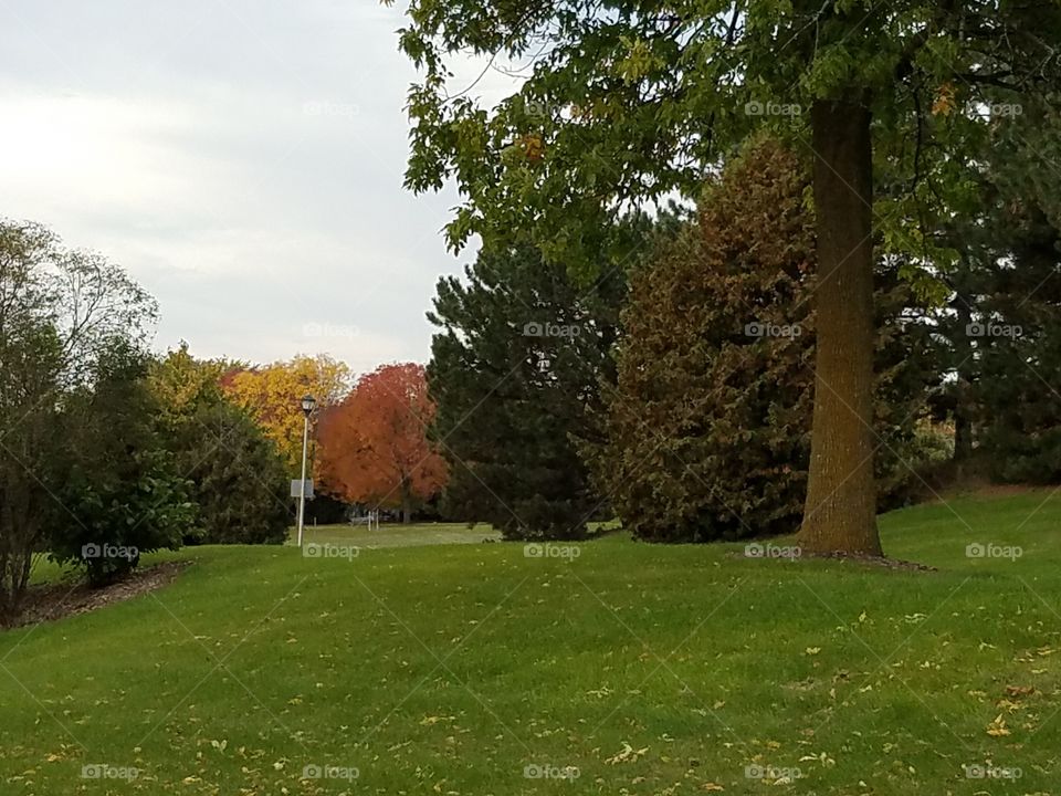 early fall in the park