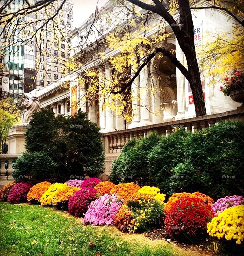 Spring with flowers . Photo was taken at a public library in New York City 