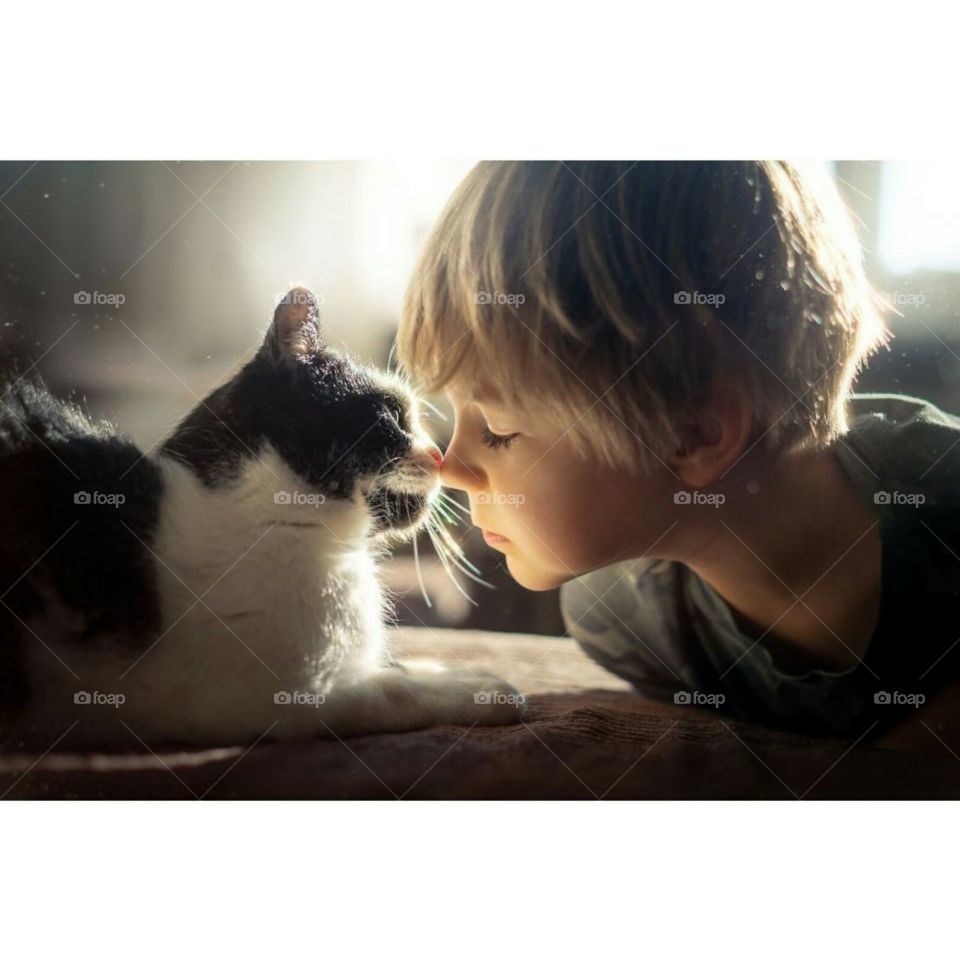 "Amor de gatos é um amor incondicional"
Edicão:David Helion ,Brasil,Ba