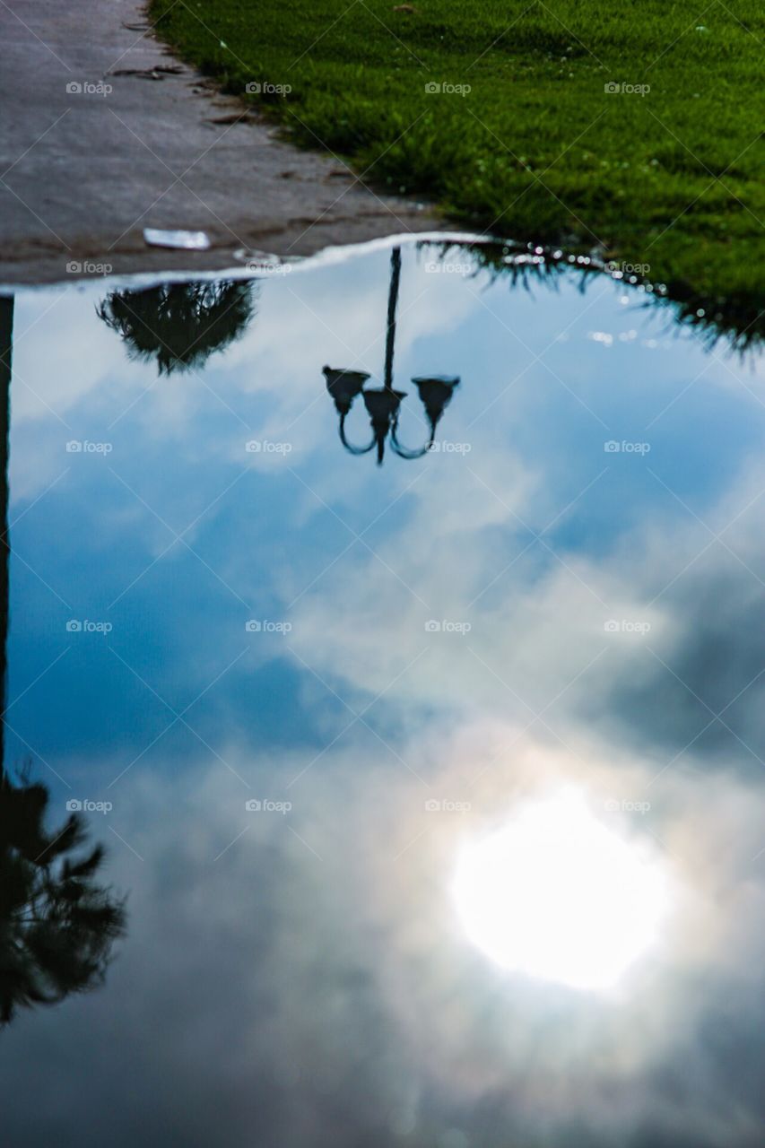A puddle for your thoughts