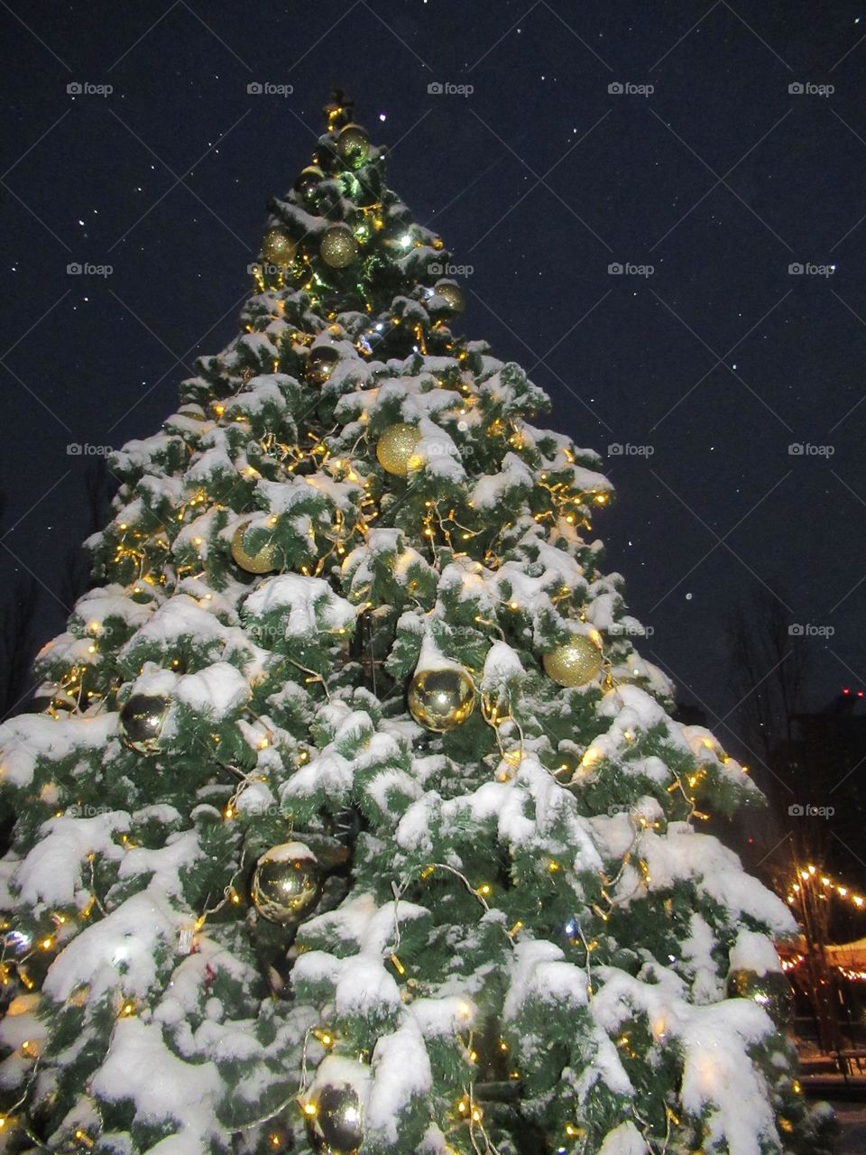 New Year tree after snowfall, evening, winter, park, vacation, vacation, walk