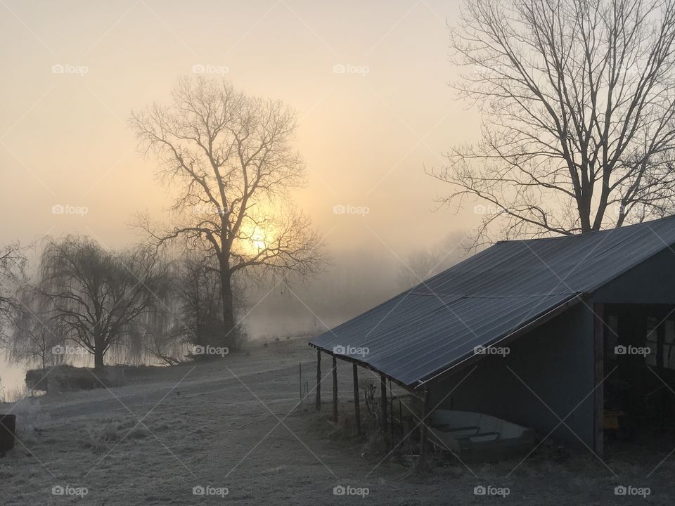 Fog on the Farm