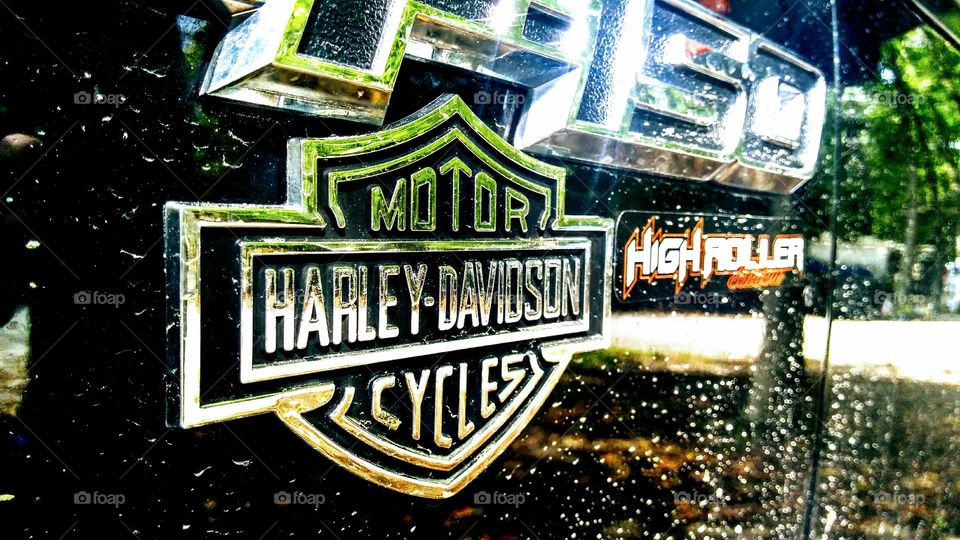 Harley Davidson