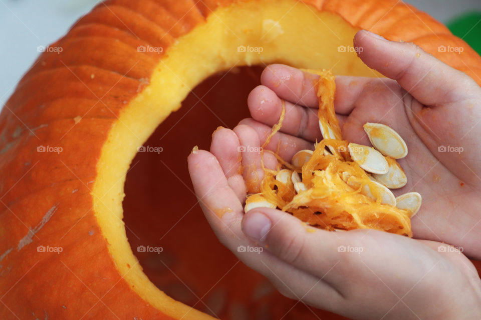 Pumpkin seed in a child's hand