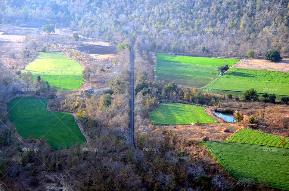a railway track looking so beautiful