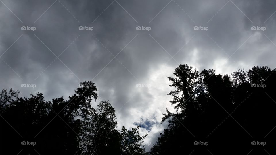 dramatic storm clouds above trees