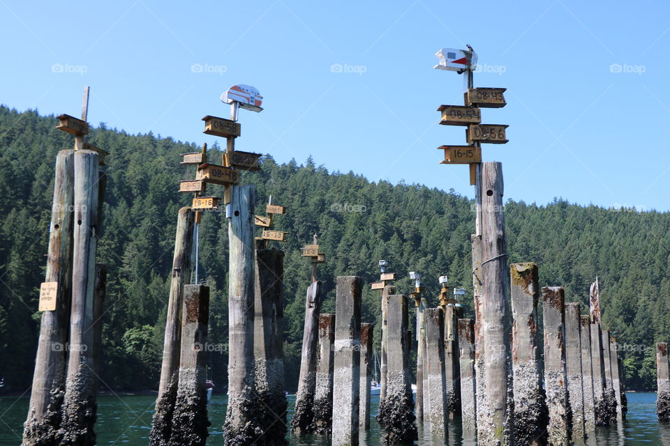 Rectangular columns and bird sanctuary 