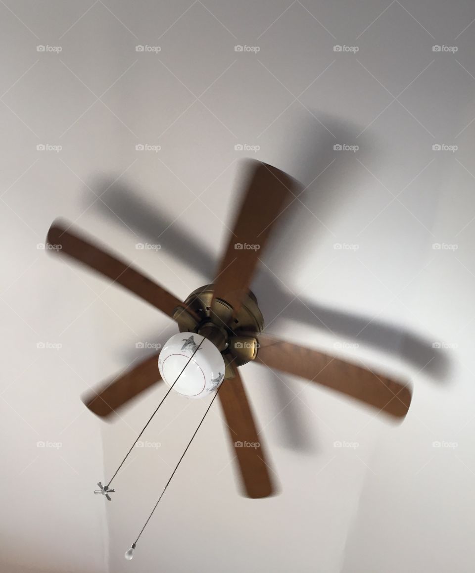 Ceiling fan