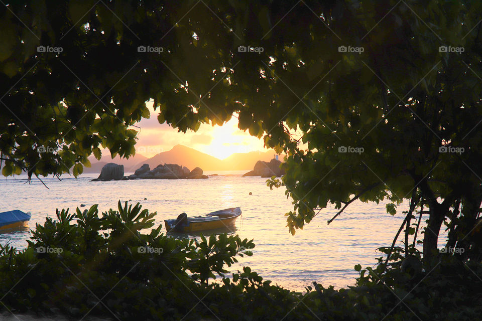 Sunset at the beach with anchored boat seen through leafs
