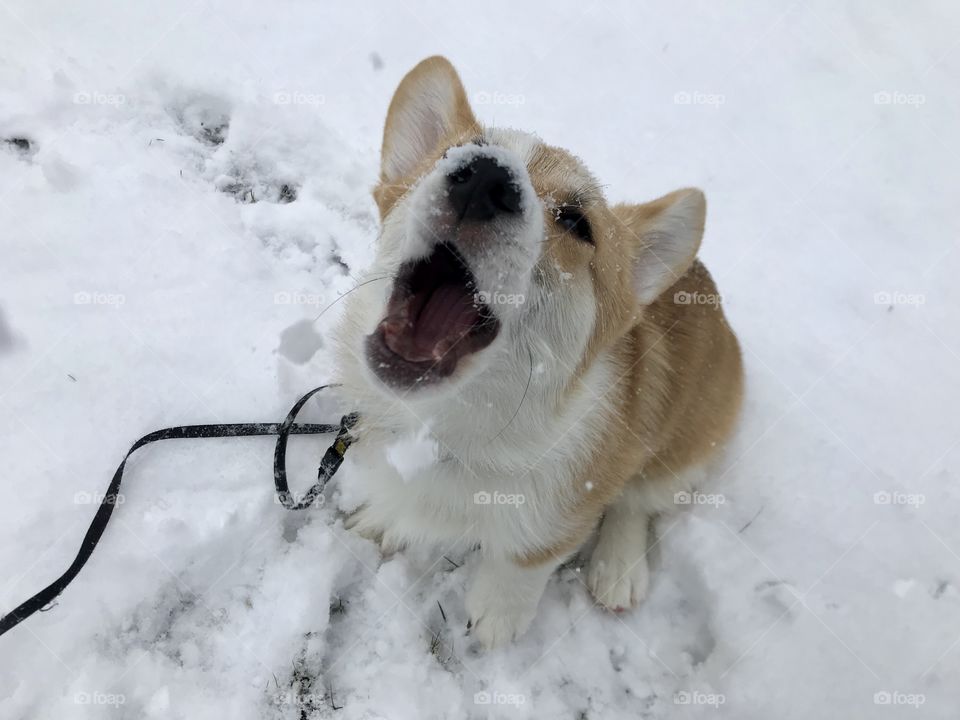 Fun with snow 