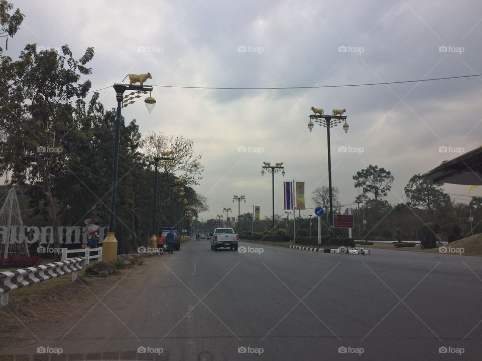 The  traffic on the road 