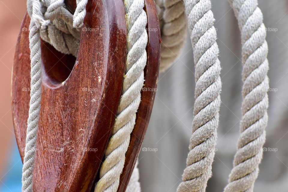 Aboard the Hokule’a, a voyaging canoe built to revive the centuries-old tradition of Polynesian exploration. sailed by a crew of 12 who use only celestial navigation and observation of nature, the canoe completed a four-year trip around the world.