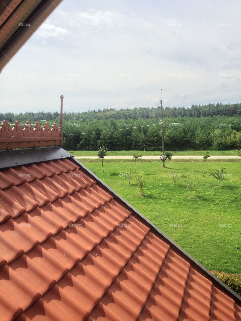 Nature roof  