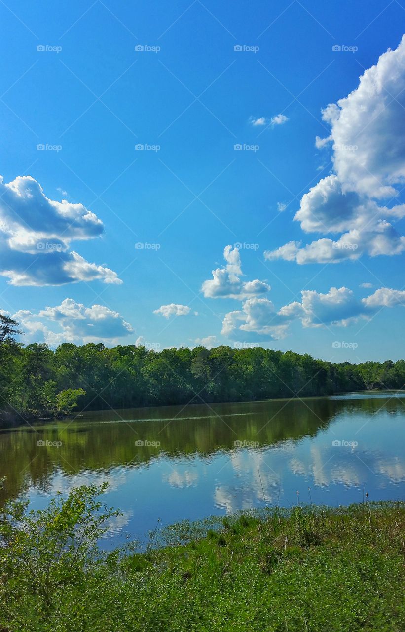 waterscape of blue skies & white puffy clouds
