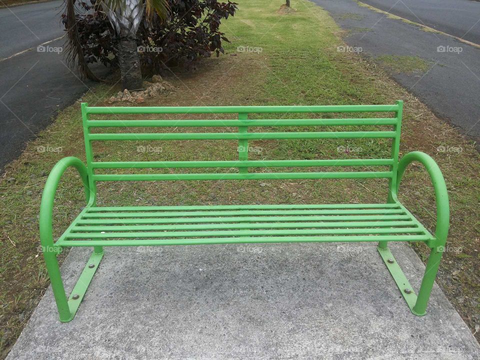 The green bench