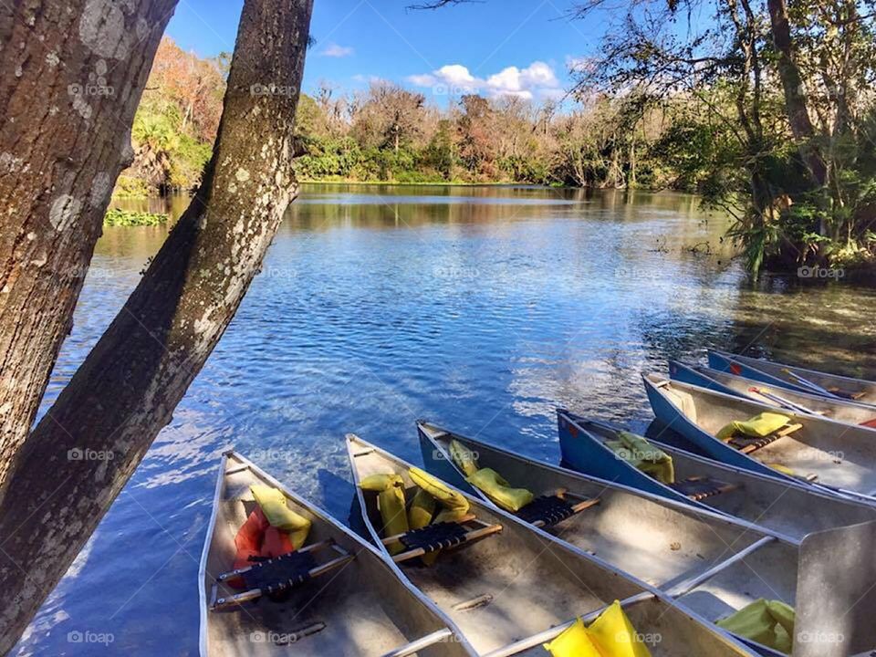 Canoes lined up for rent along the Wekiva River in Florida