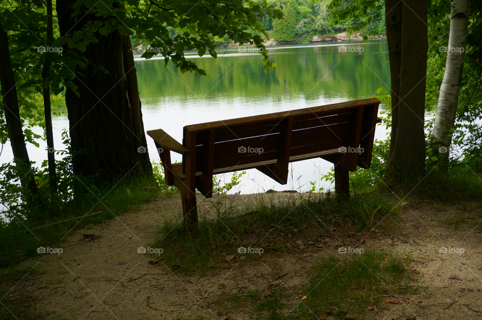 Nature. Bench by the Quarry