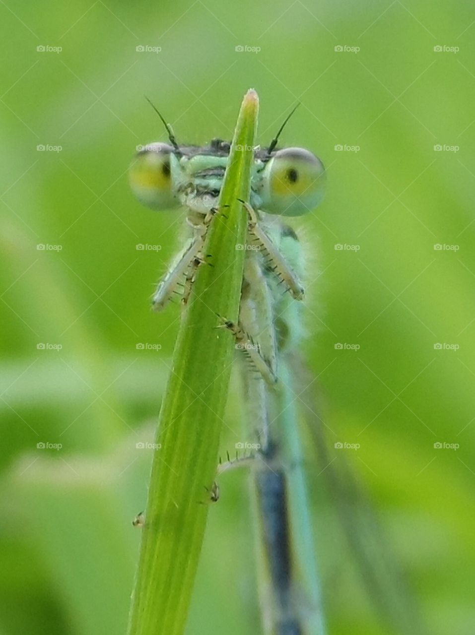 peek a boo: I see you but you don't see me!