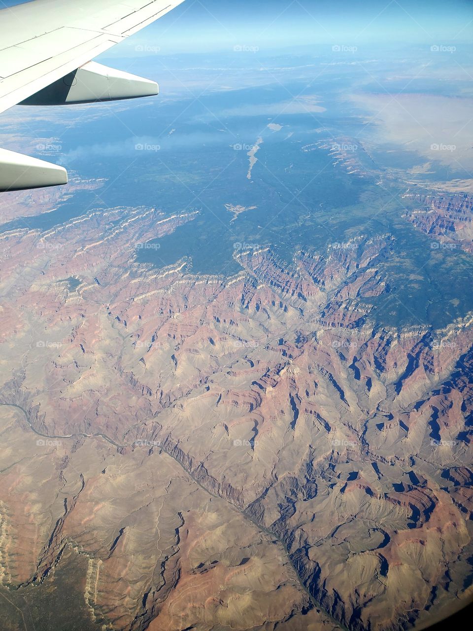 Soaring above the Grand Canyon. Natural Wonder.