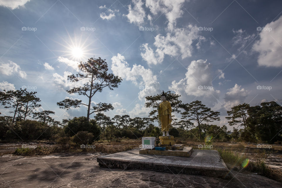 Buddha statue in the forest 