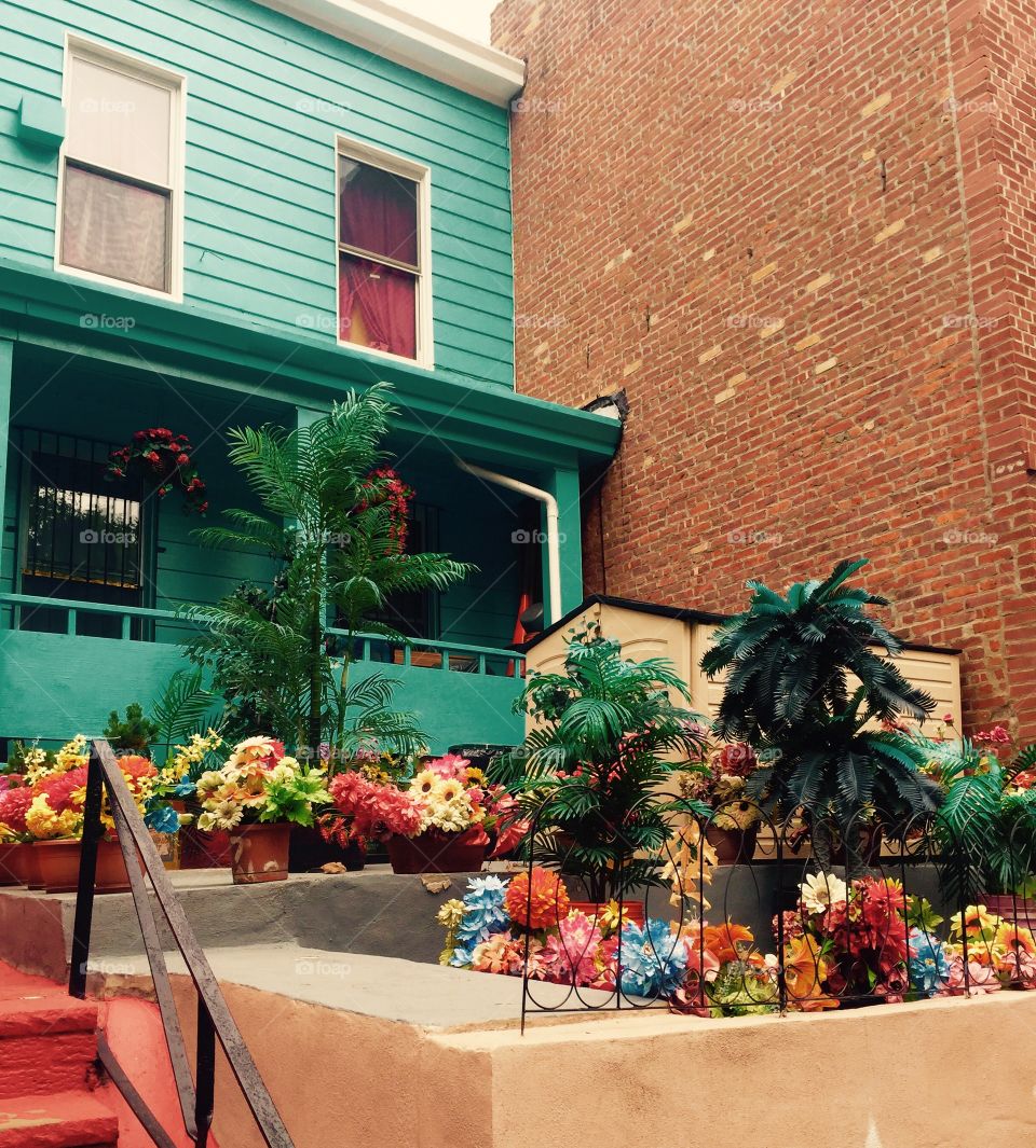 Multicolored house and bushes 