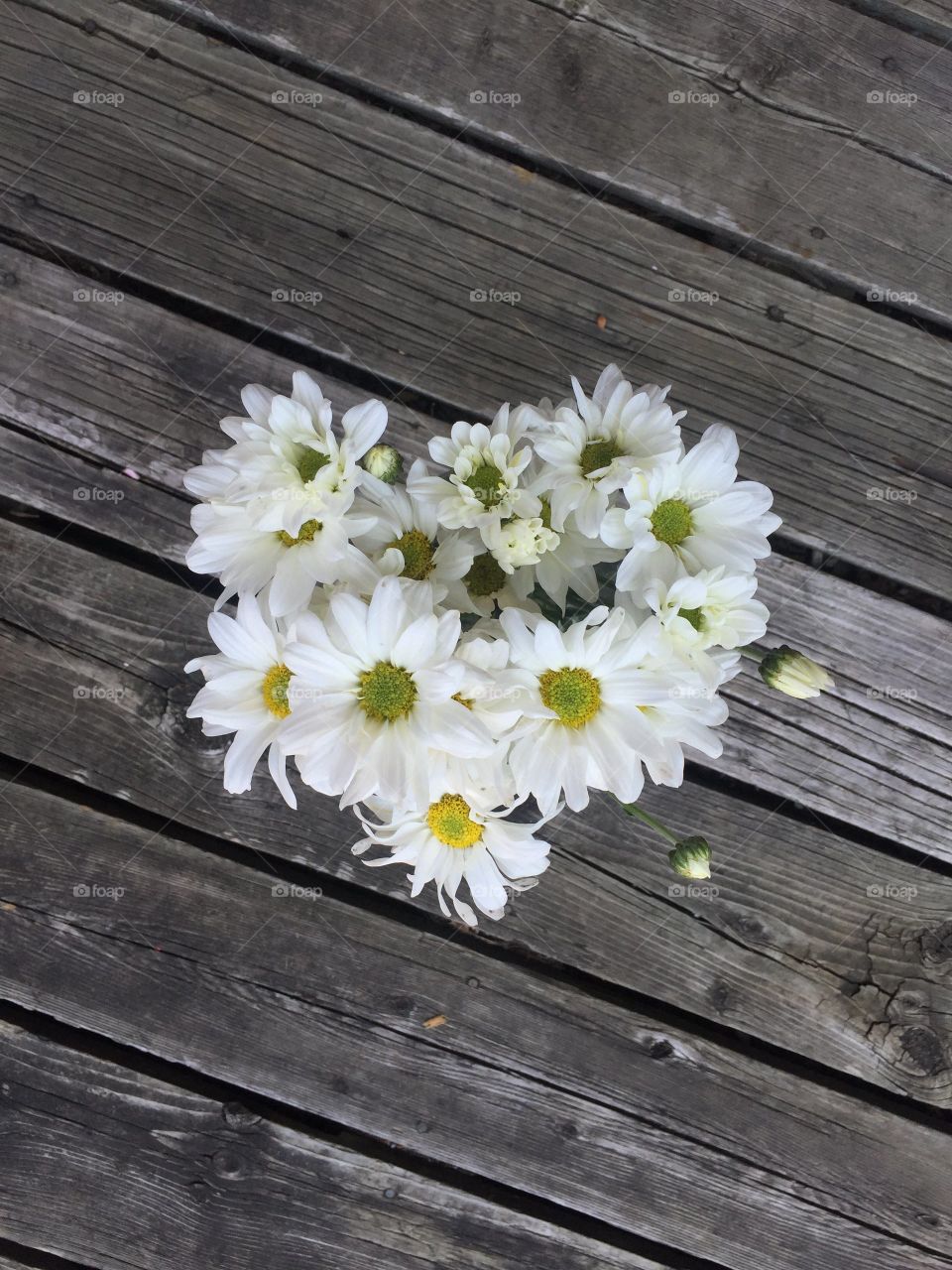 Heart Shaped Bouquet of Daisies