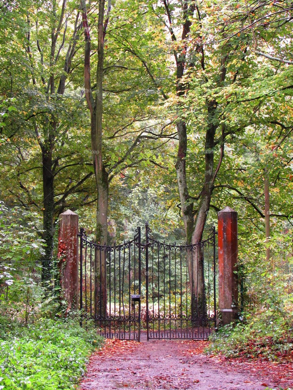 Gate to wonderland