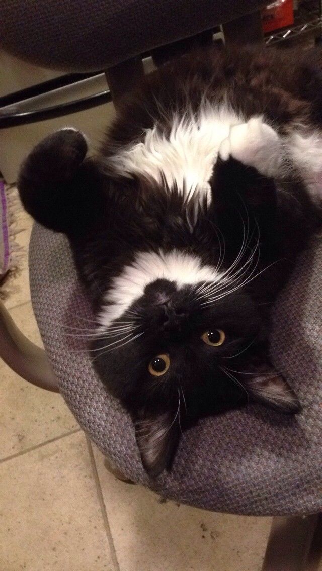 Just hanging out