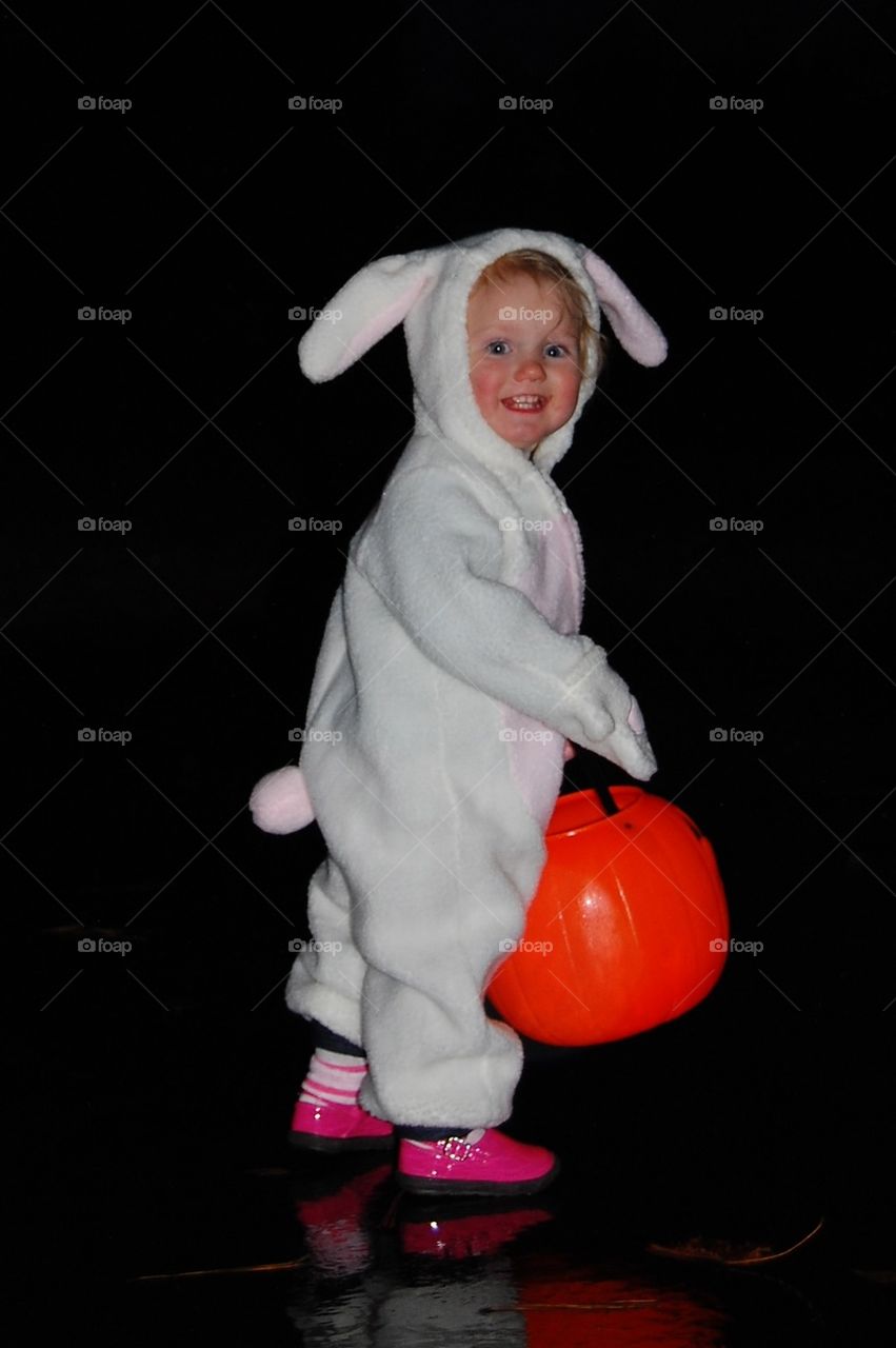 Halloween bunny