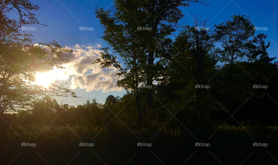 Minnesota 