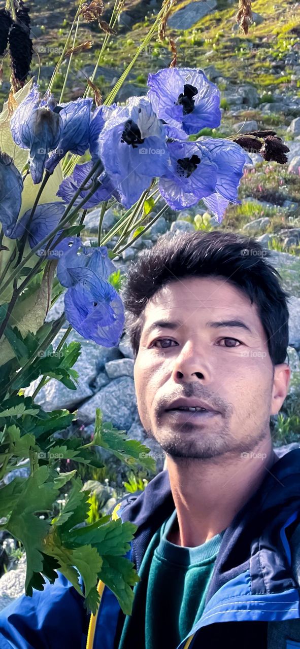 Fortune favoured the brave