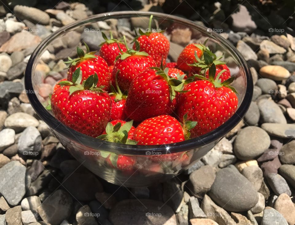 Berry bowl