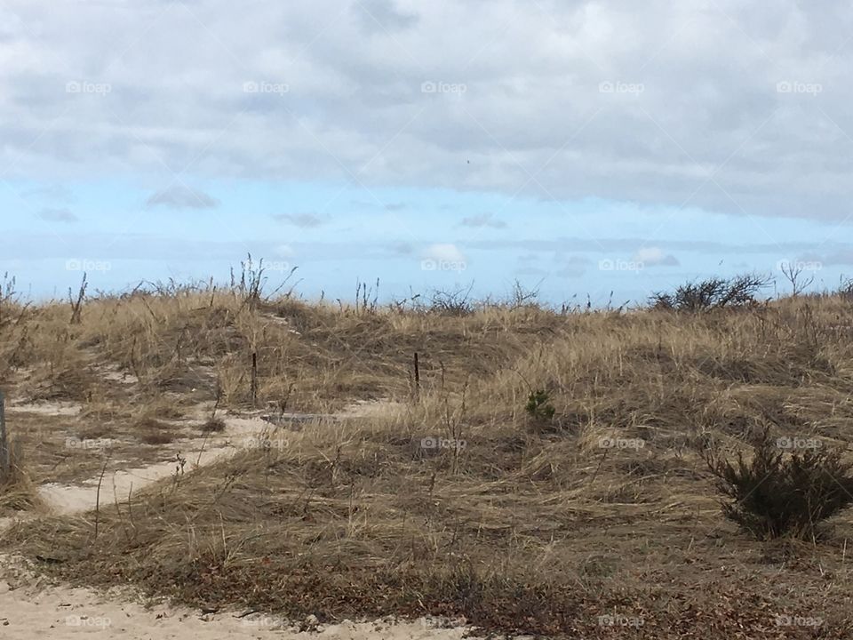 Beautiful looking sand dunes.