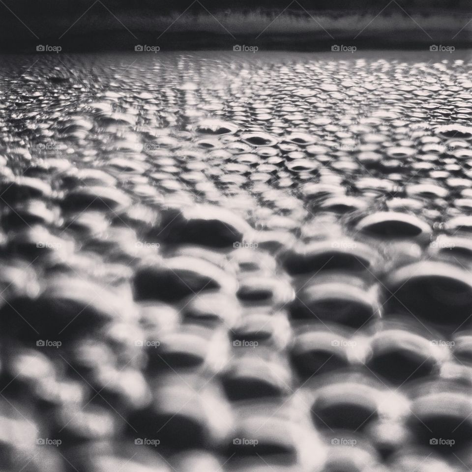 Bubbles on the water surface.