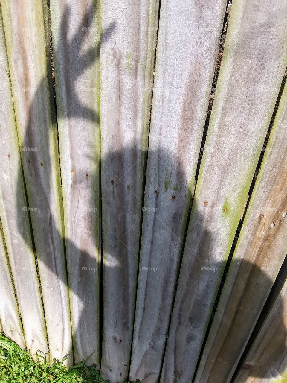 weird shadow person