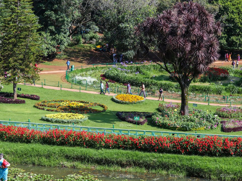 botanical garden