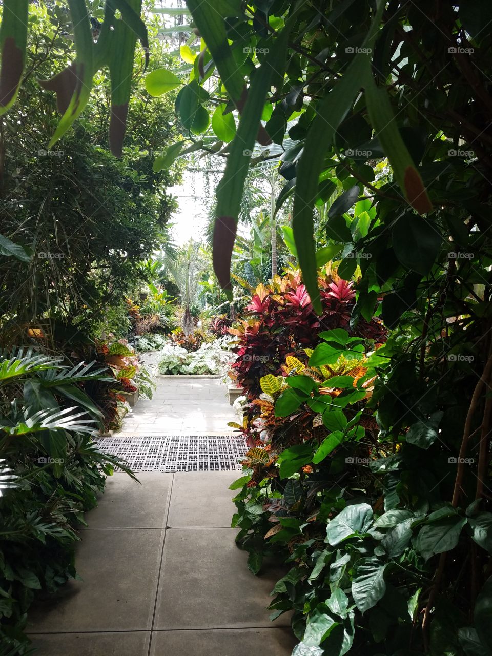 Planting Fields Arboretum State Park, Oyster Bay, NY - August 2017 - Taken on Android Phone - Galaxy S7 - Exploring the Grounds on a Lazy Sunday near the end of Summer