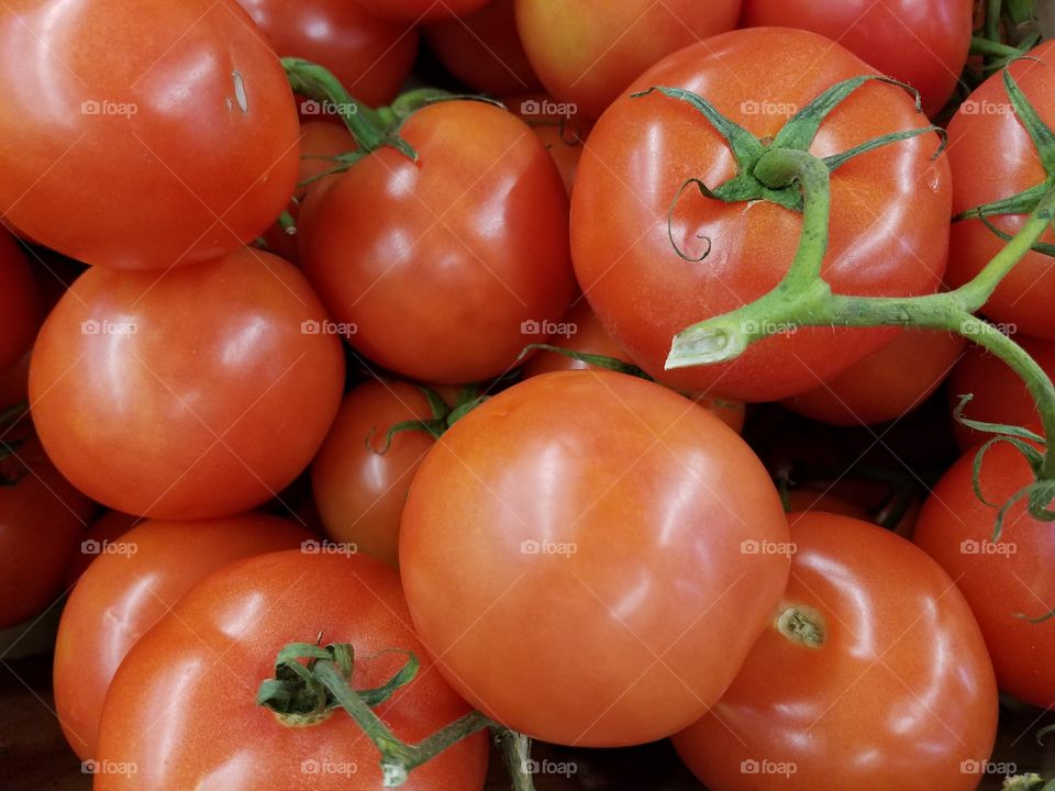 Tomatoes on the Vine
