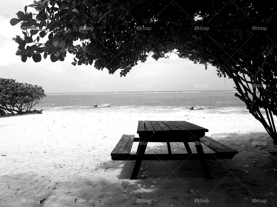 A bench on one of the most beautiful white sandy beaches in Mombasa, Kenya - Vipingo beach