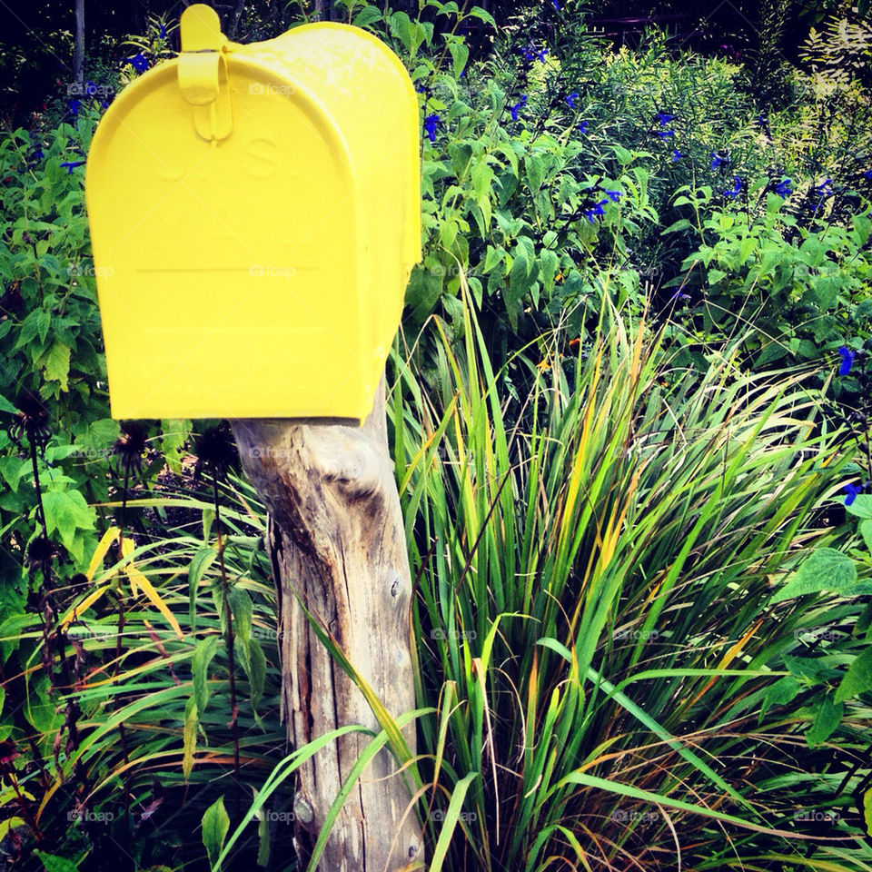 Yellow mailbox