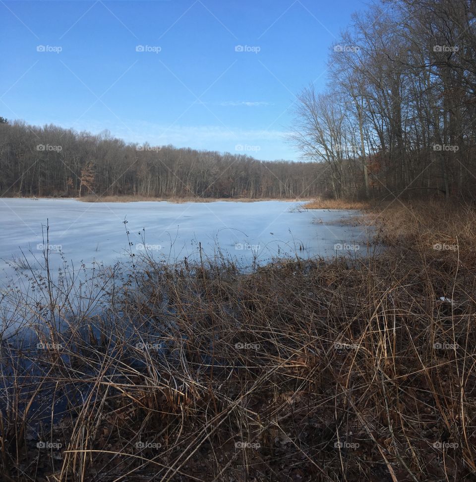 Frozen Pond