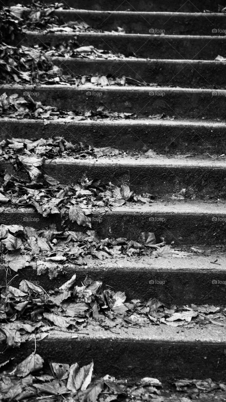 Concrete steps