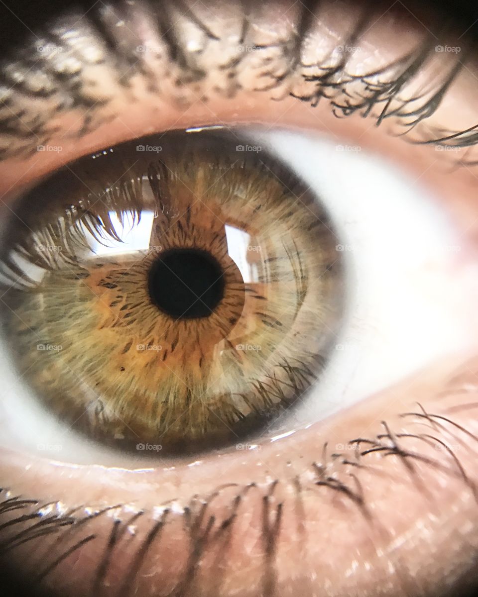 Close-up of a human pupil