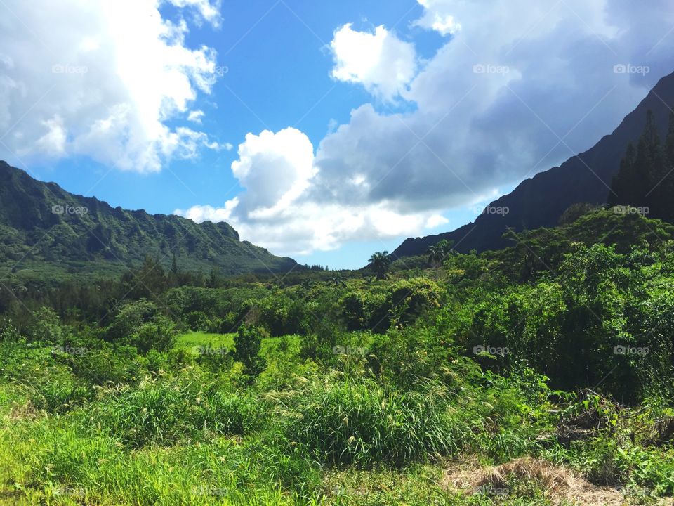 Green valley Oahu
