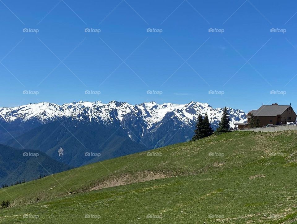Olympic Mountain Range from Hurricane Ridge