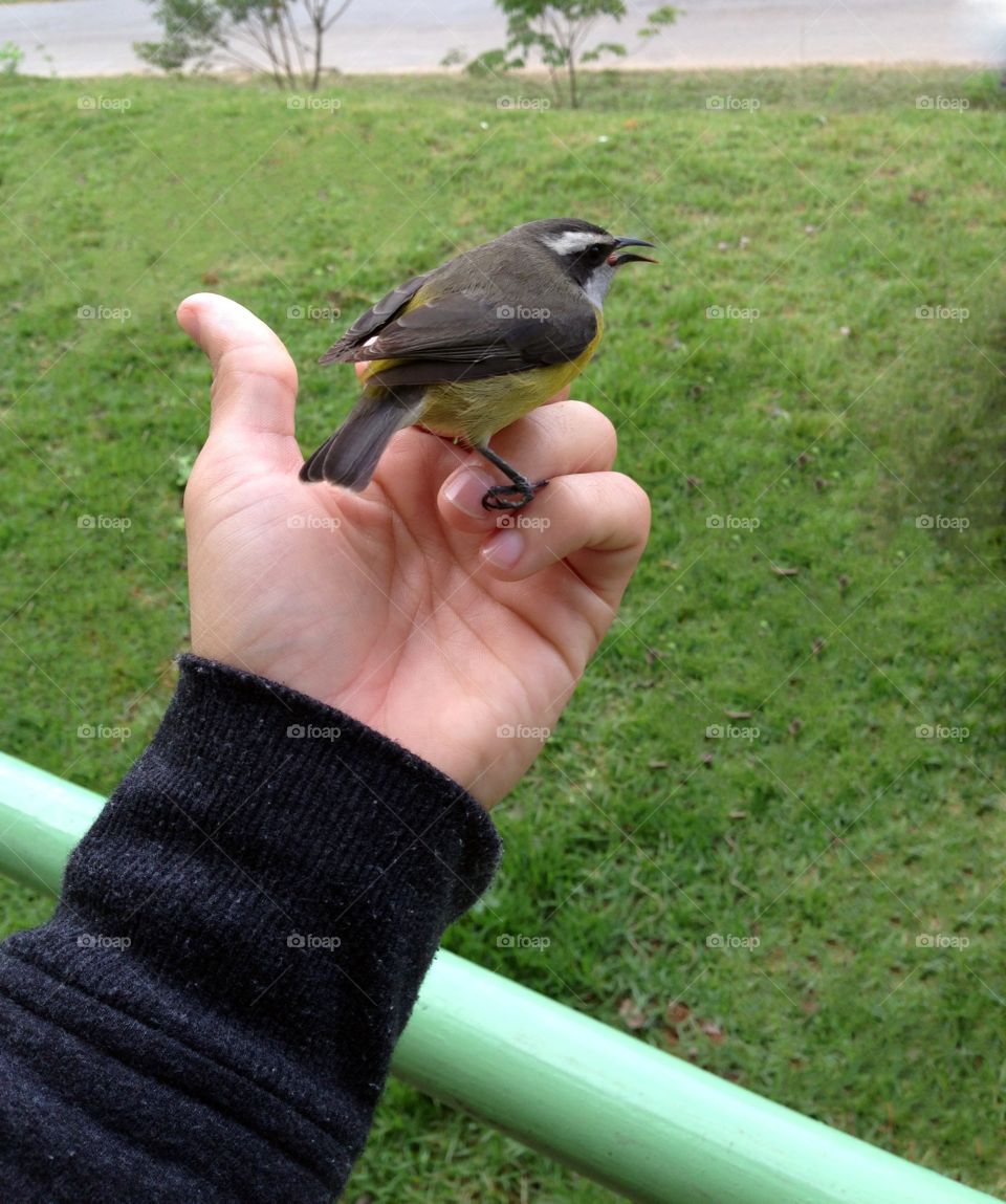 I think it was singing: "I believe I can flyyy, I belive I can touch the sky..."